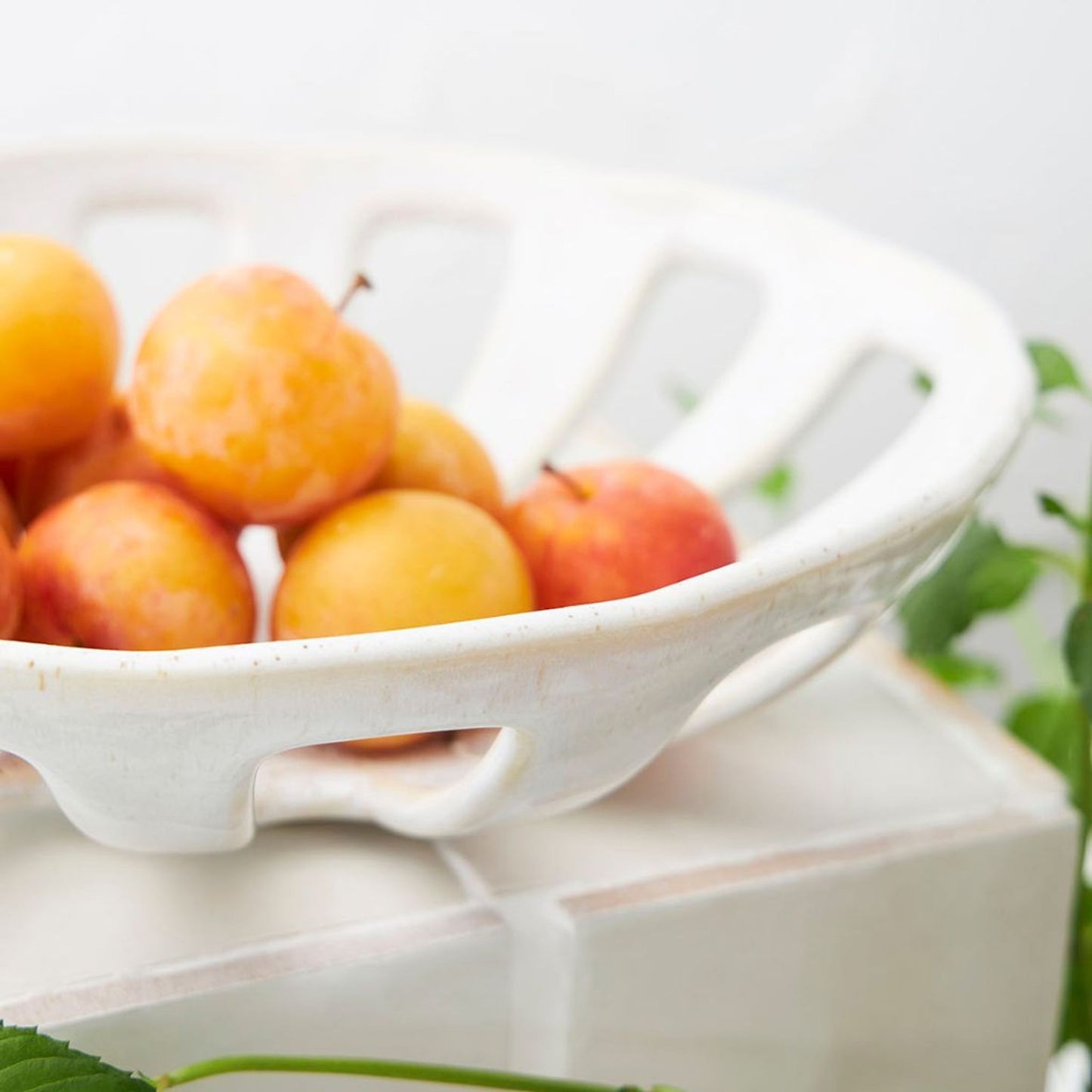 Coupe ORGANIC Blanc