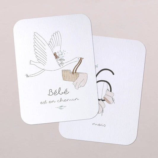 Cartes étapes Babybump Petit béguin